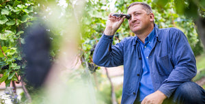 Weinwissen: Oechselgrad