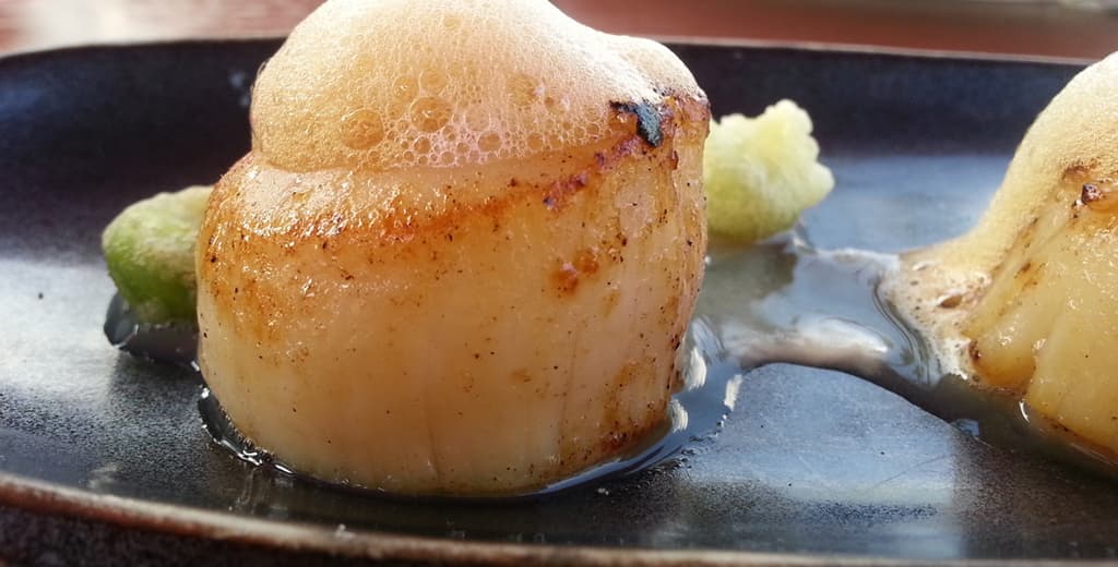 Weihnachtsmenü (Zwischengang): Jakobsmuscheln mit Champagnerschaum