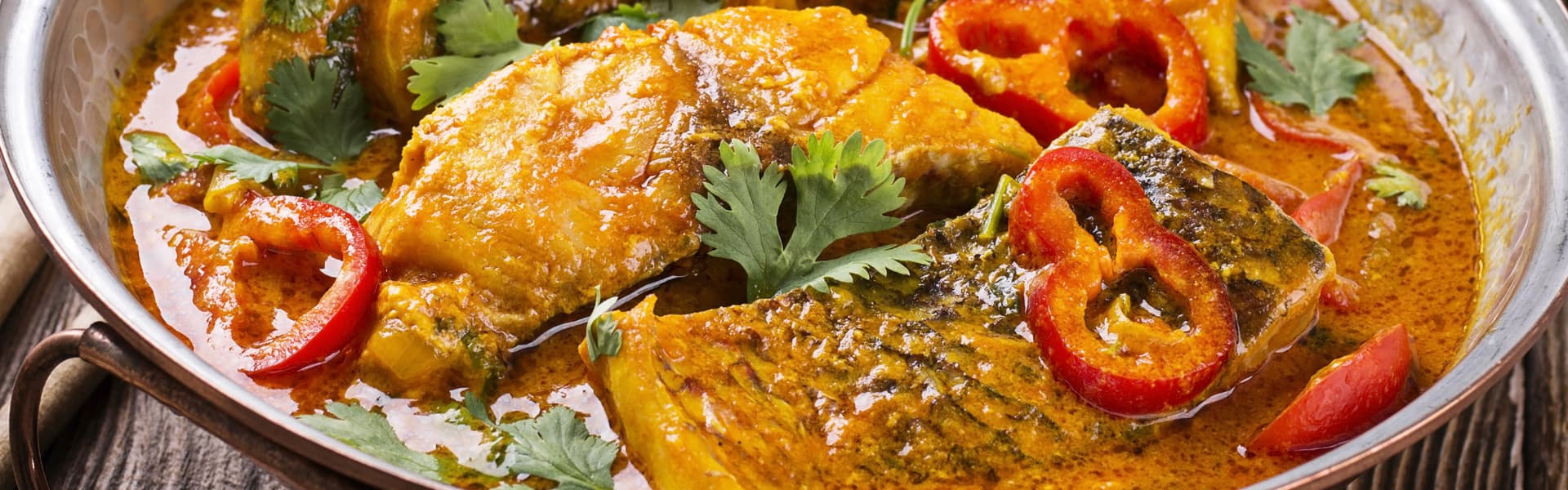 Weine zu geschmortem Fisch