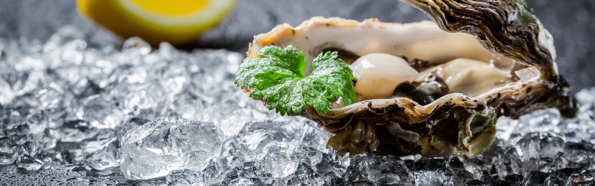 Weine zu Muscheln und Austern