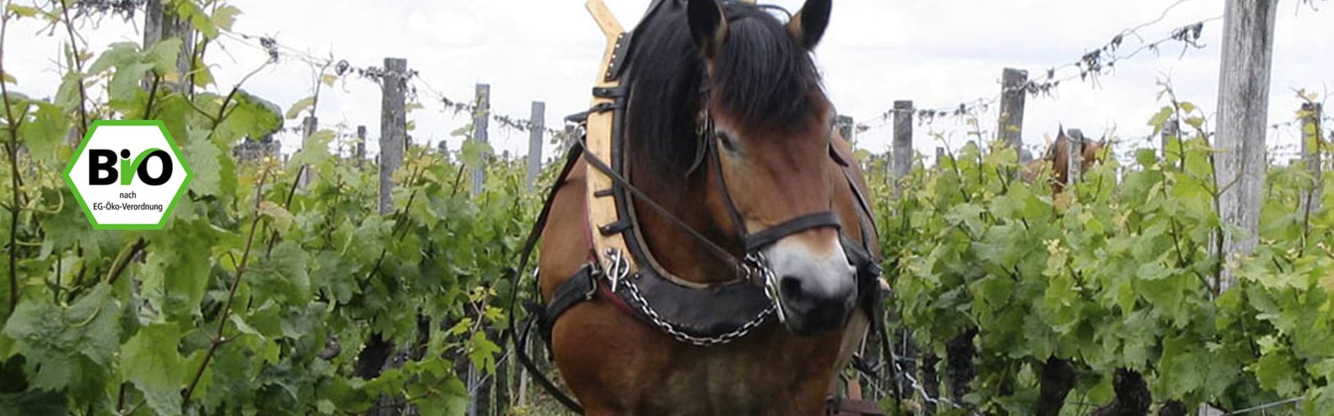 Bio-Weine