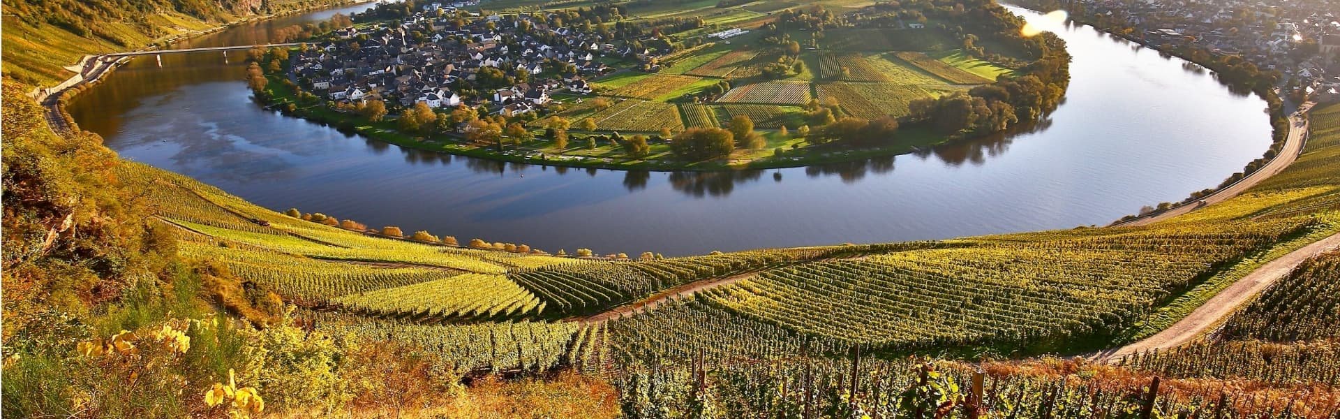 Weine von der Mosel