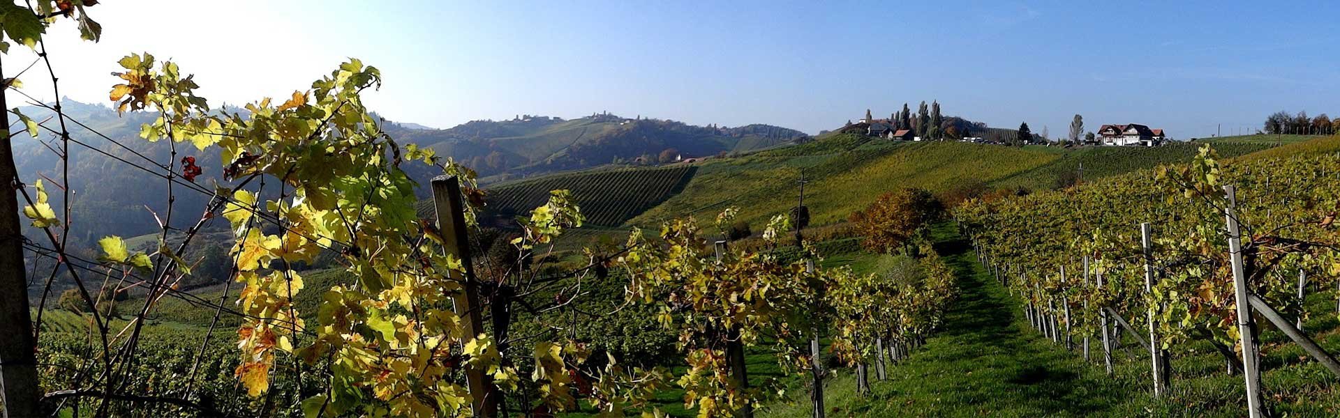 Weine aus Österreich