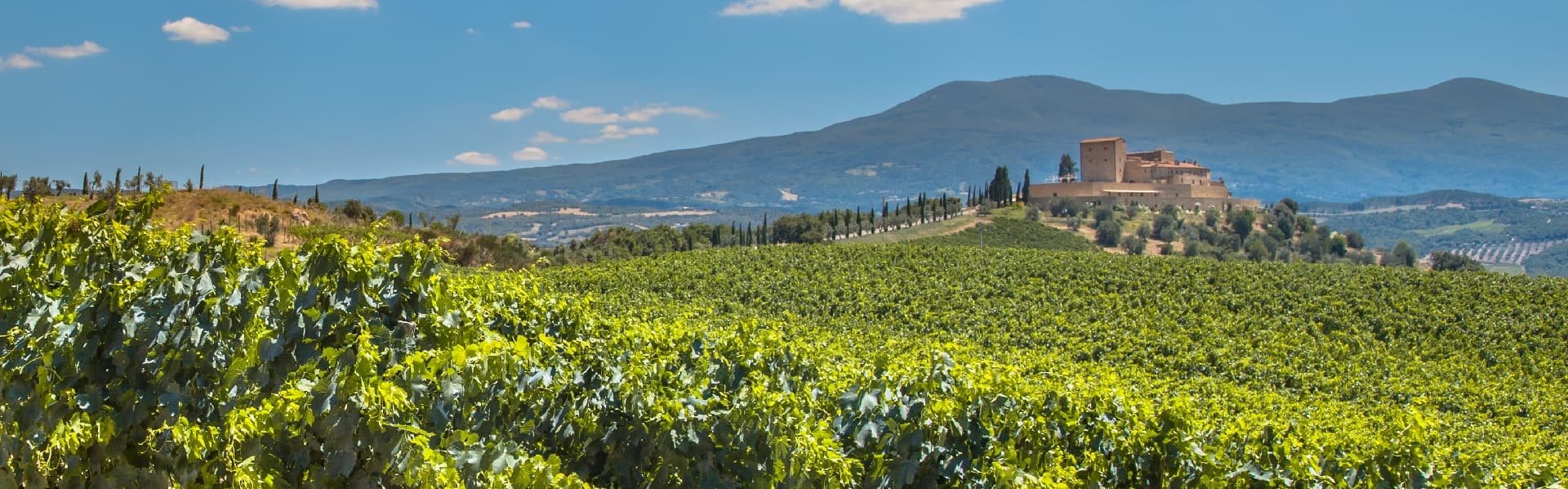 Weine aus der Toskana