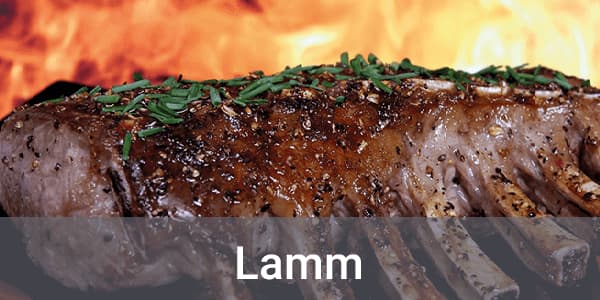 Lamm
