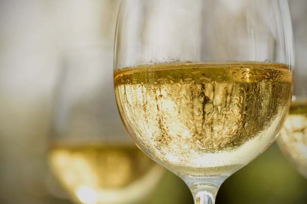 Weißweine aus der Pfalz