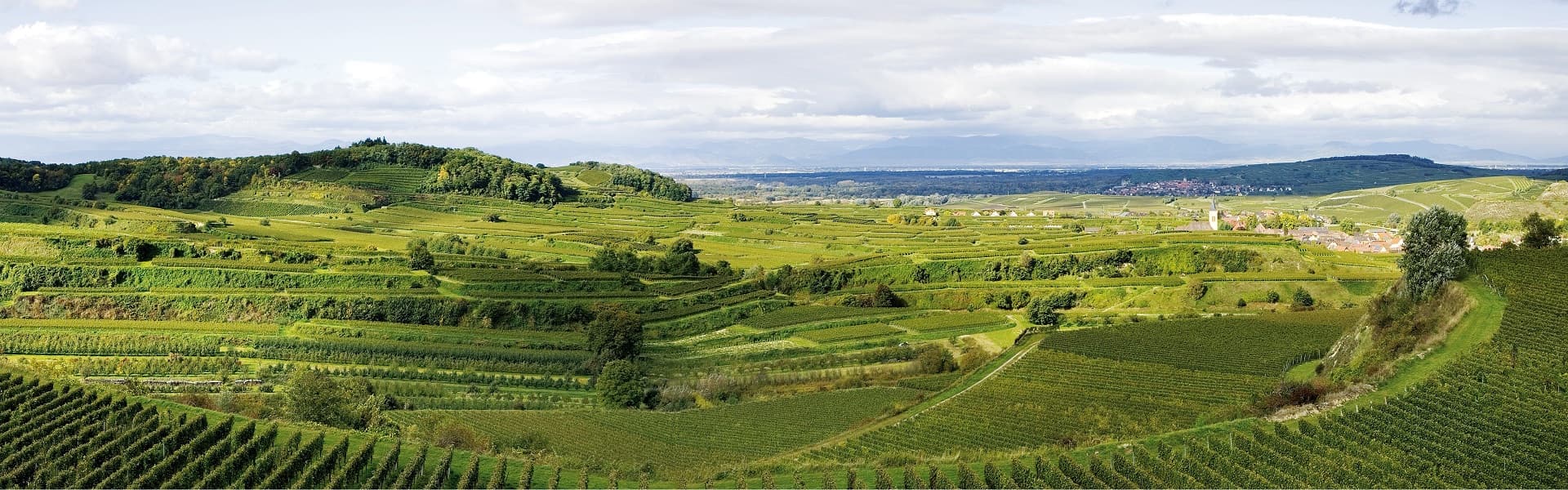 Emrich-Schönleber VDP