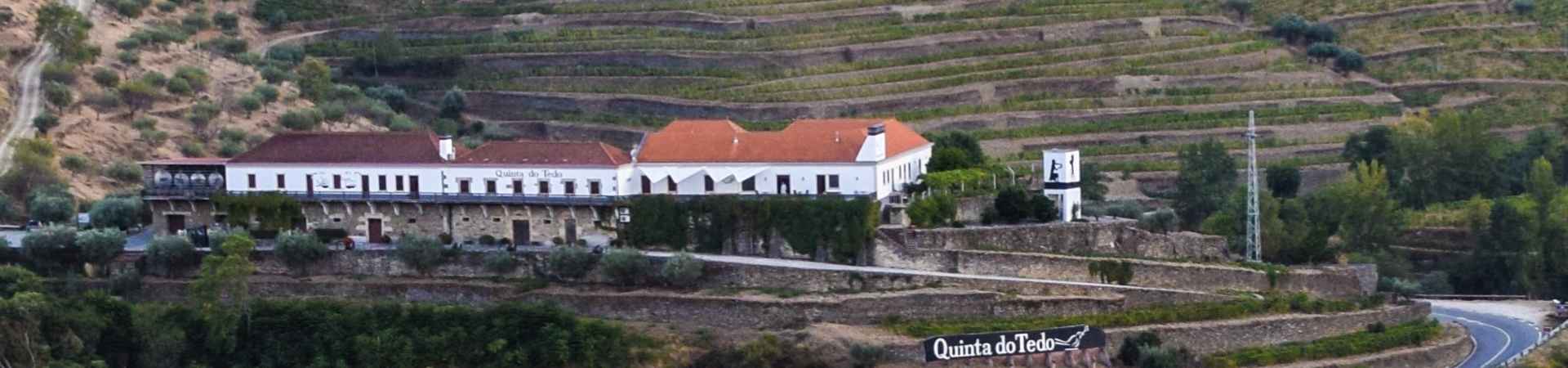 Quinta do Tedo