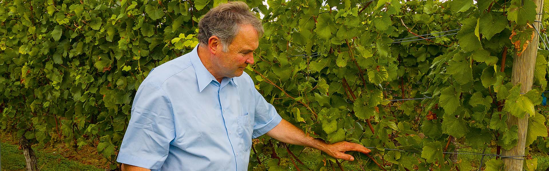 Weingut Fritz Waßmer