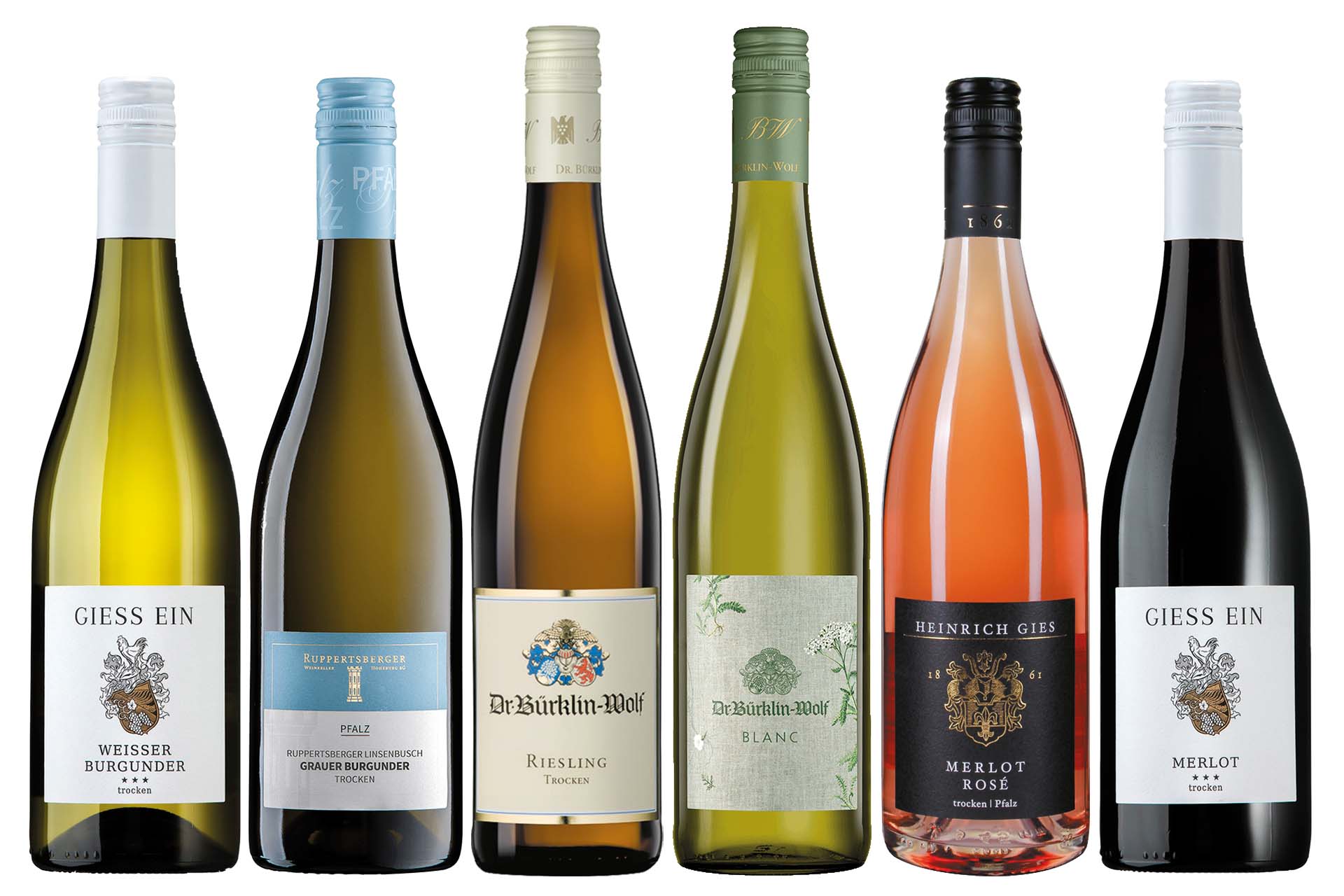 Weinpaket Pfalz entdecken