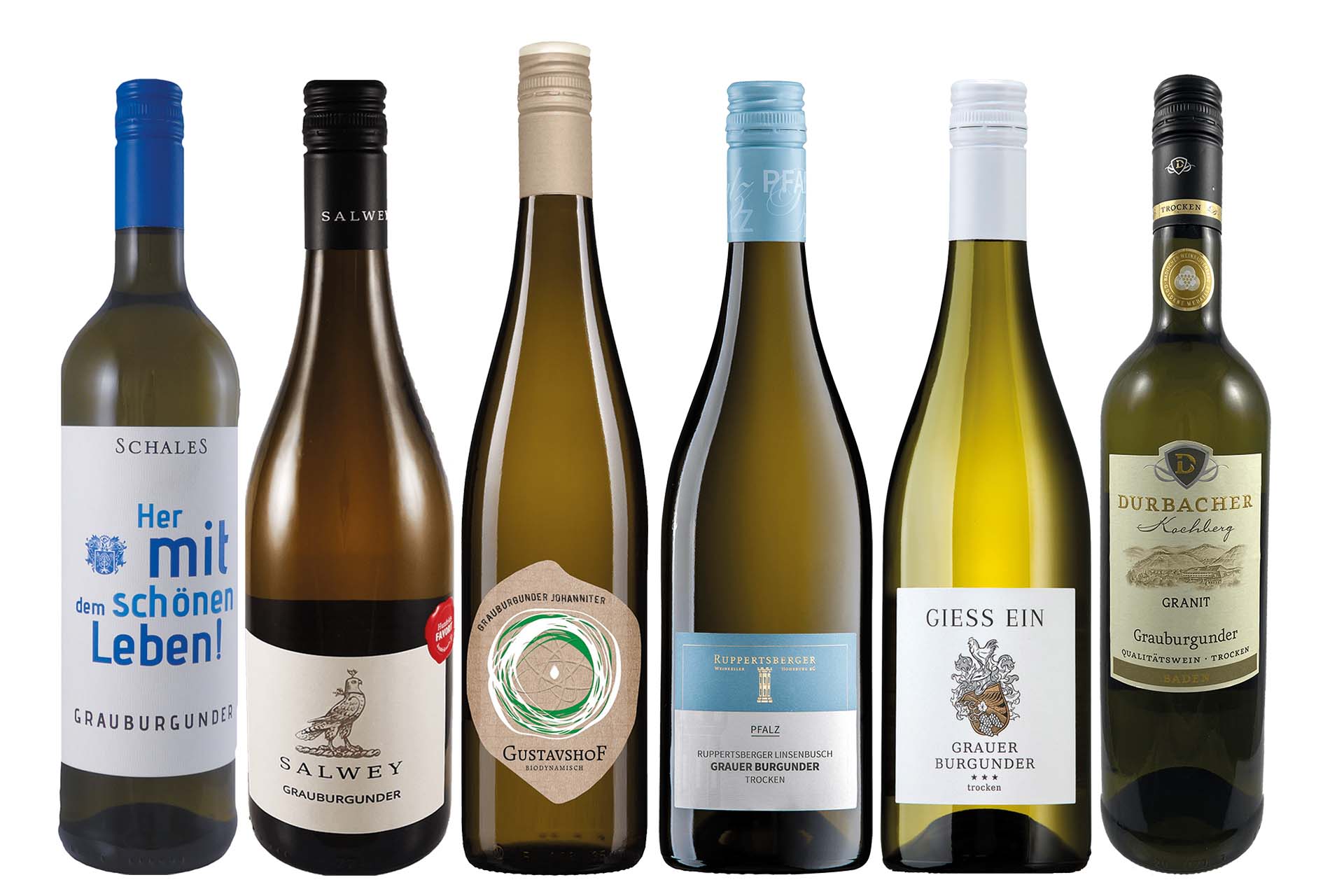 Weinpaket  Grauburgunder entdecken