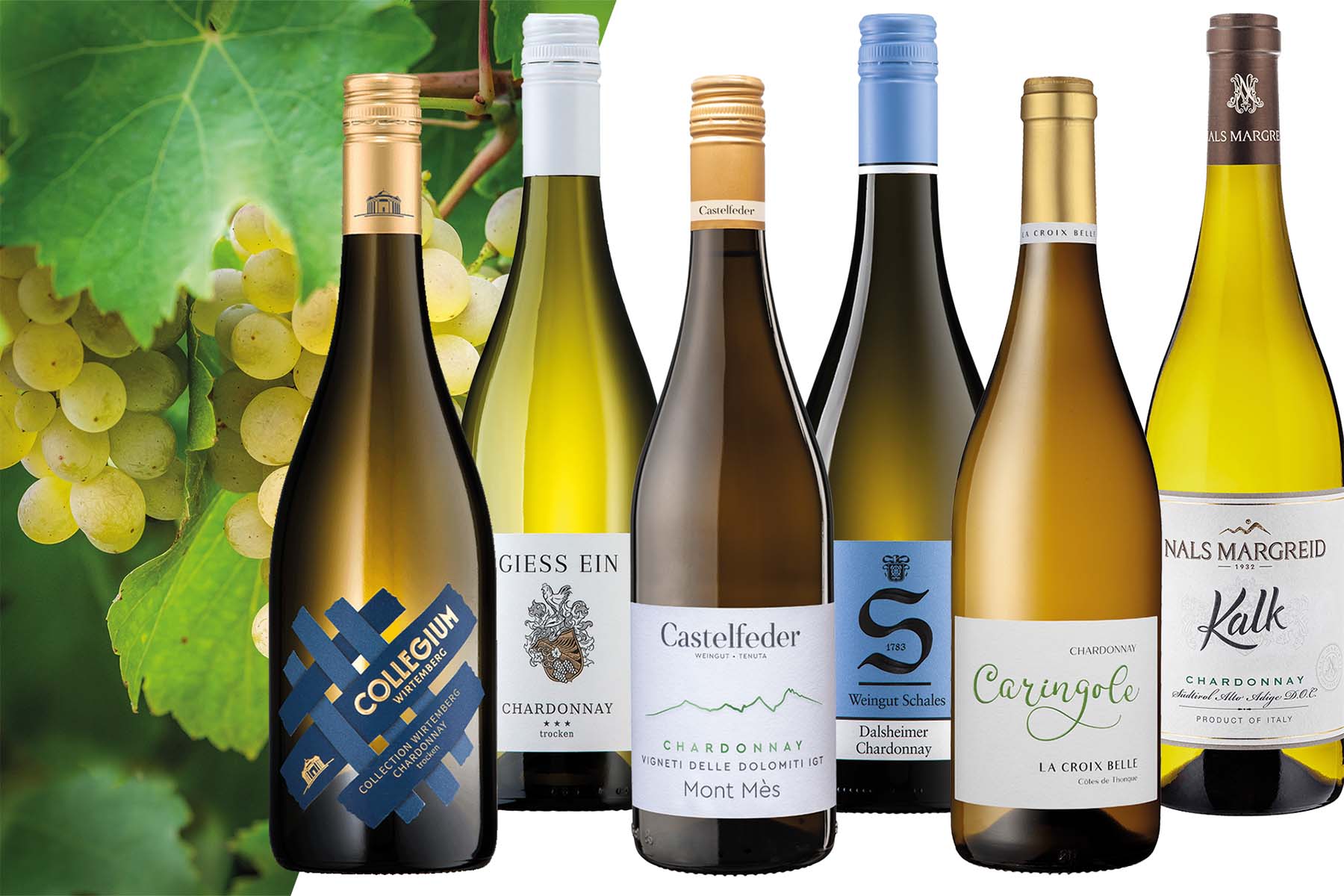 Weinpaket Chardonnay Masterclass