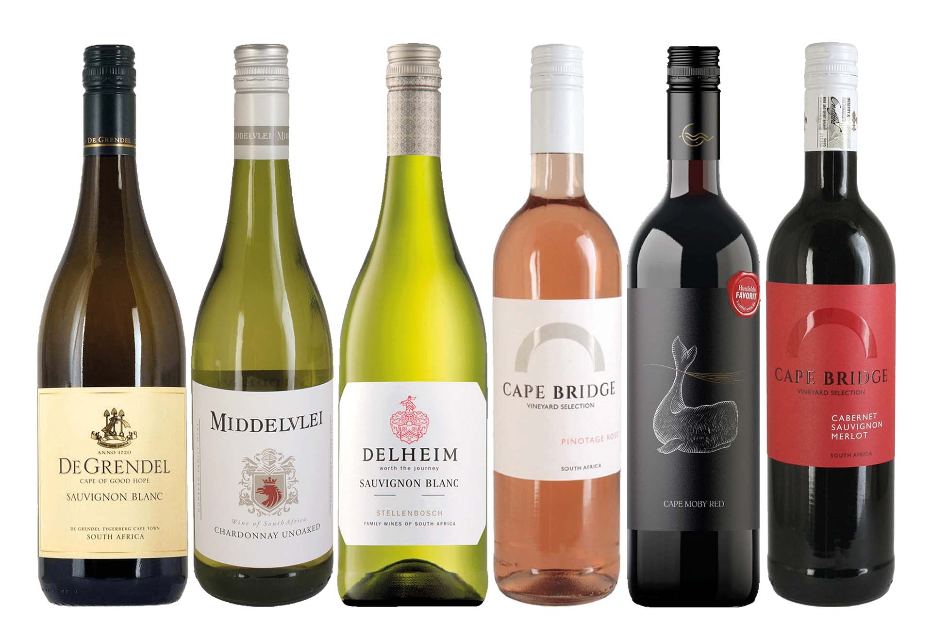 Weine vom Kap: Südafrika