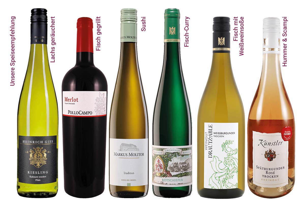 Das Weinpaket - zu Fisch und Meeresfrüchten