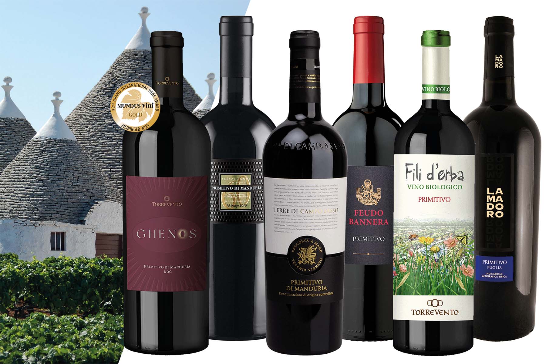 Primitivo Masterclass