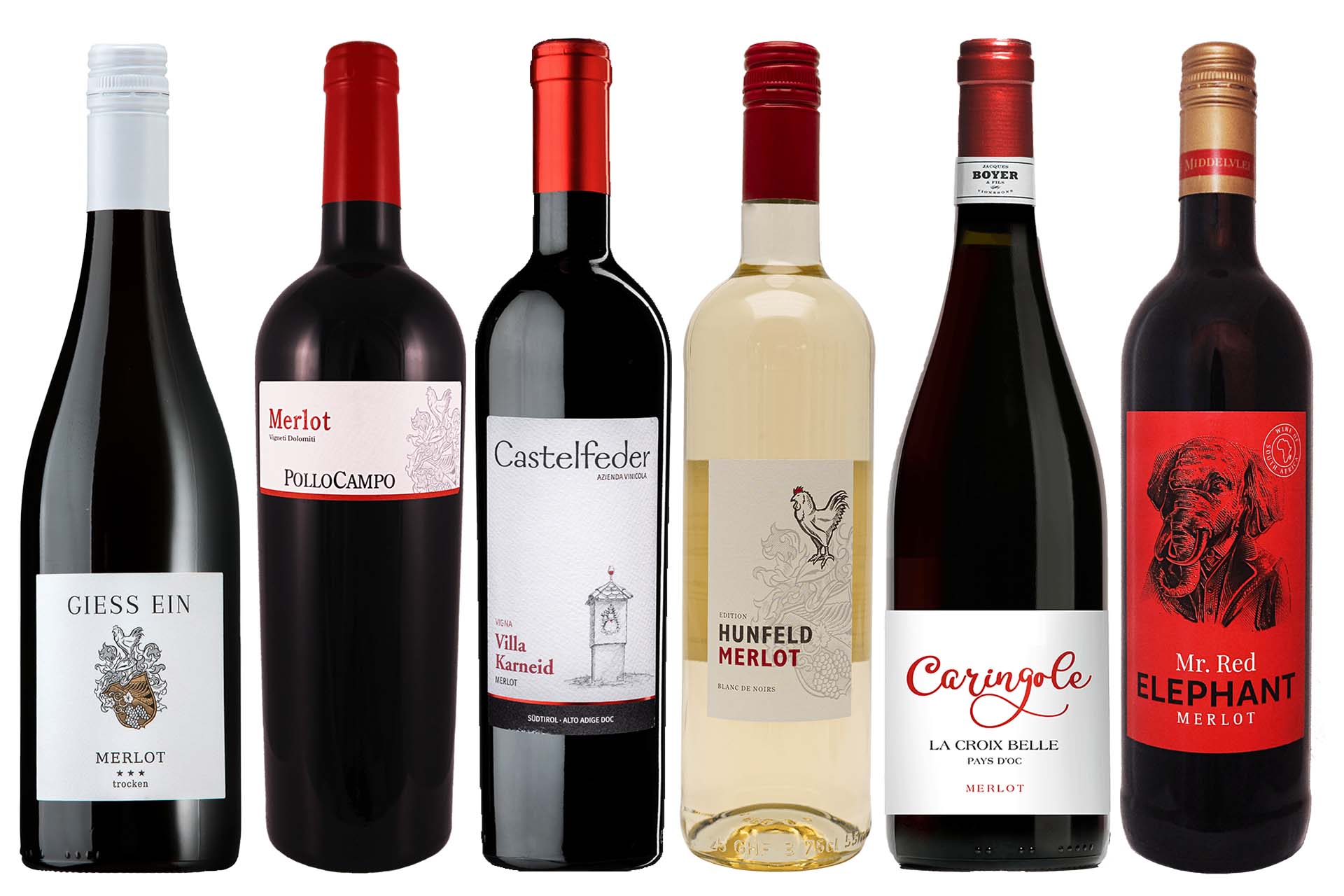 Weinpaket Merlot - Liebling der Amseln