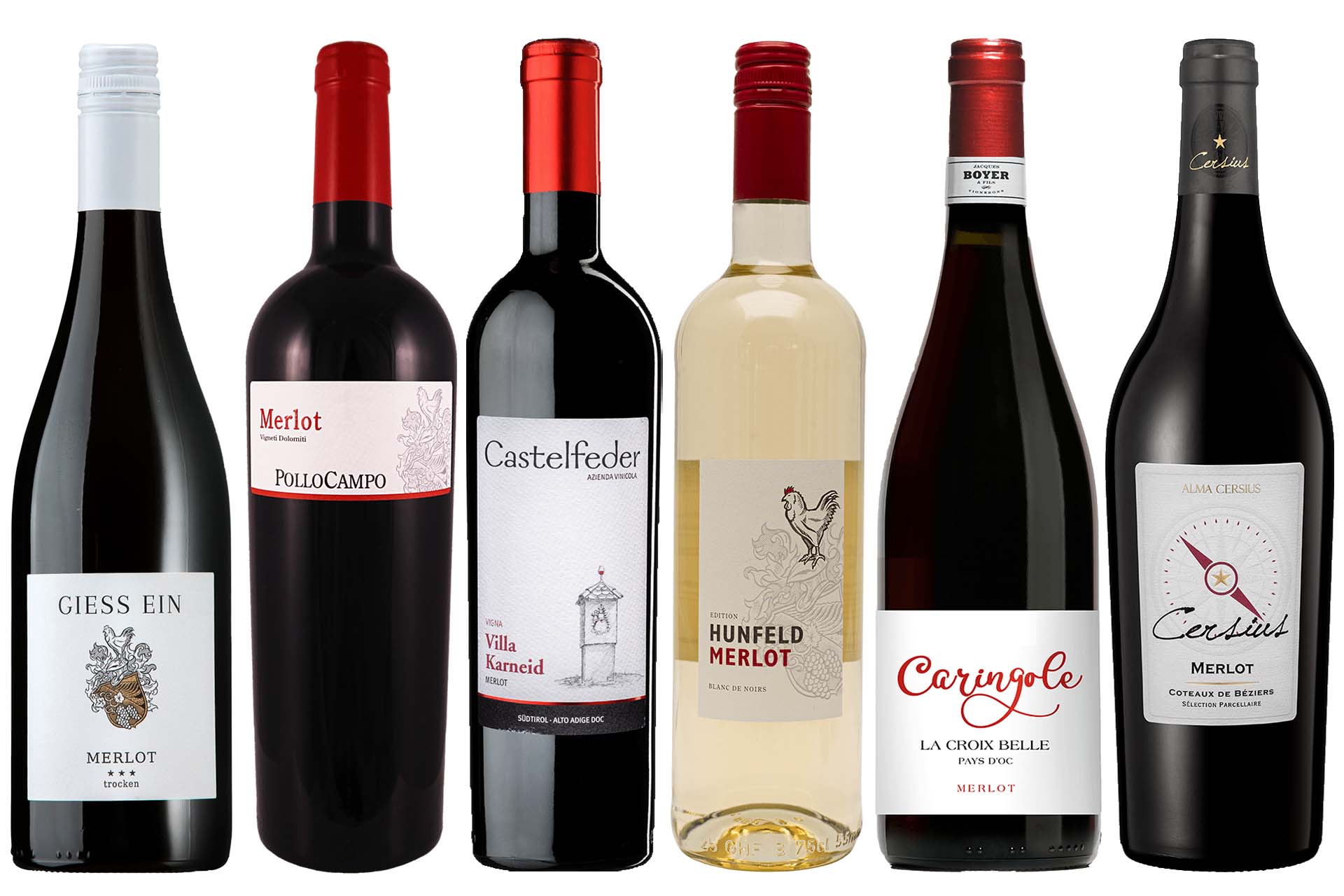 Weinpaket Merlot - Liebling der Amseln