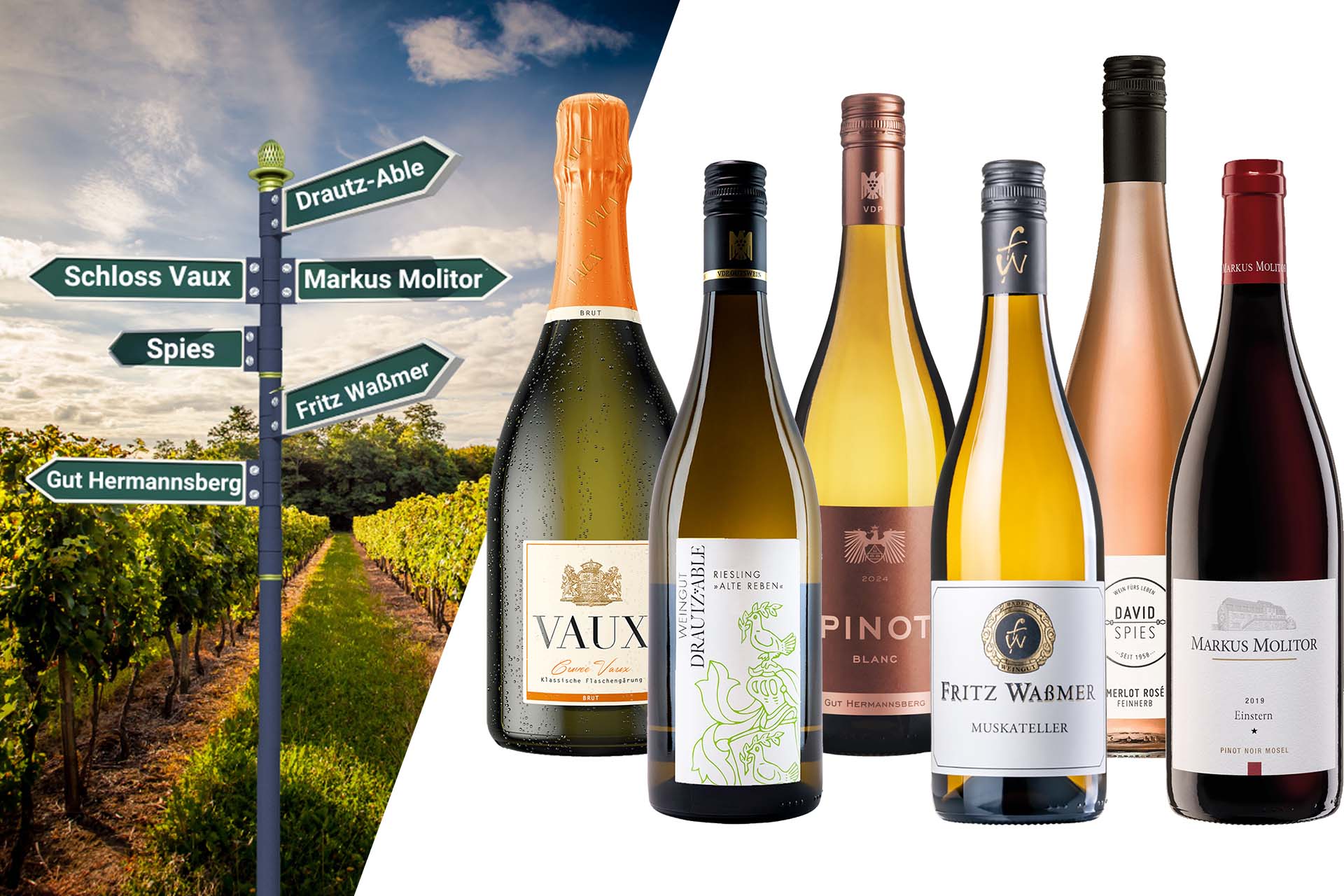 Weinreise - einmal durch Deutschland