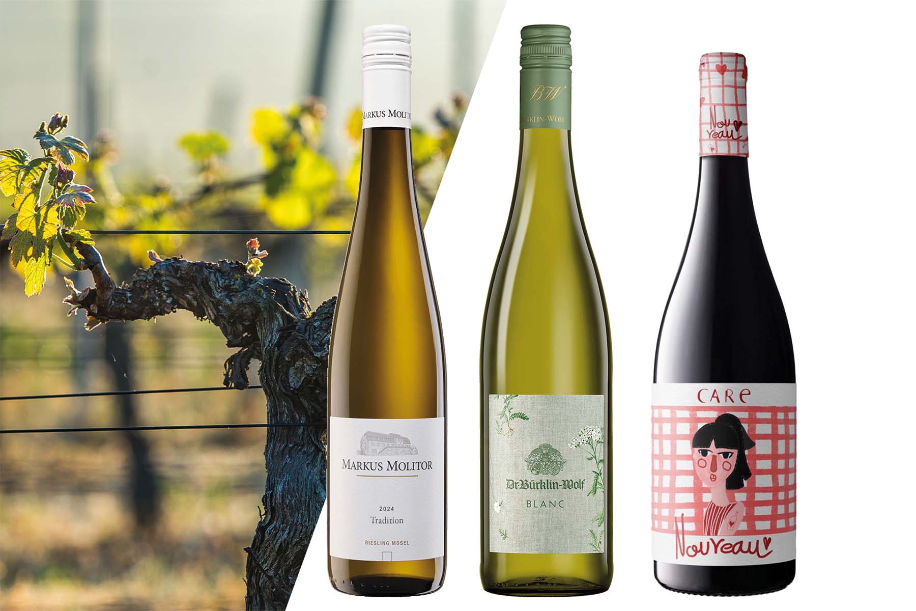 Entdeckerpaket Weinpaket Frühlingserwachen