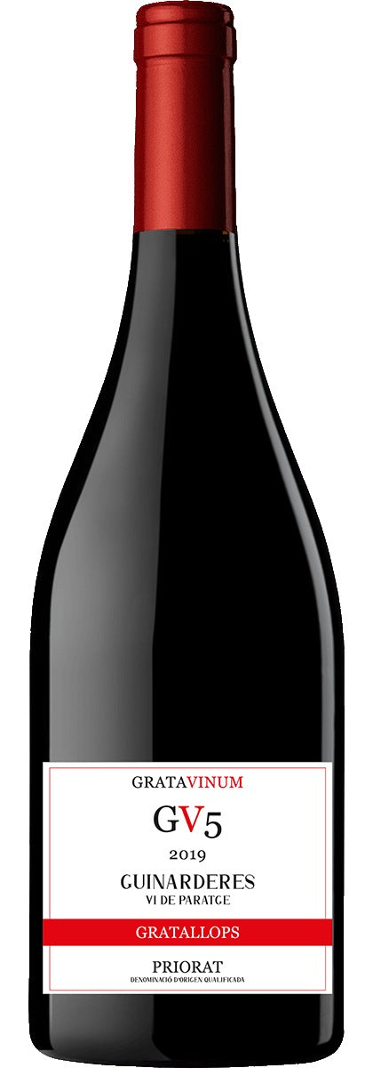 19 GV5