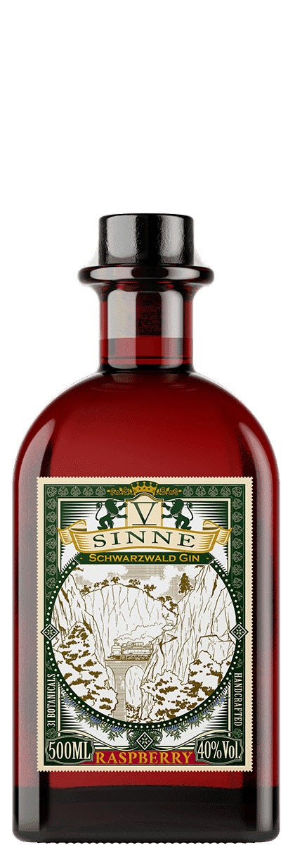 V-SINNE