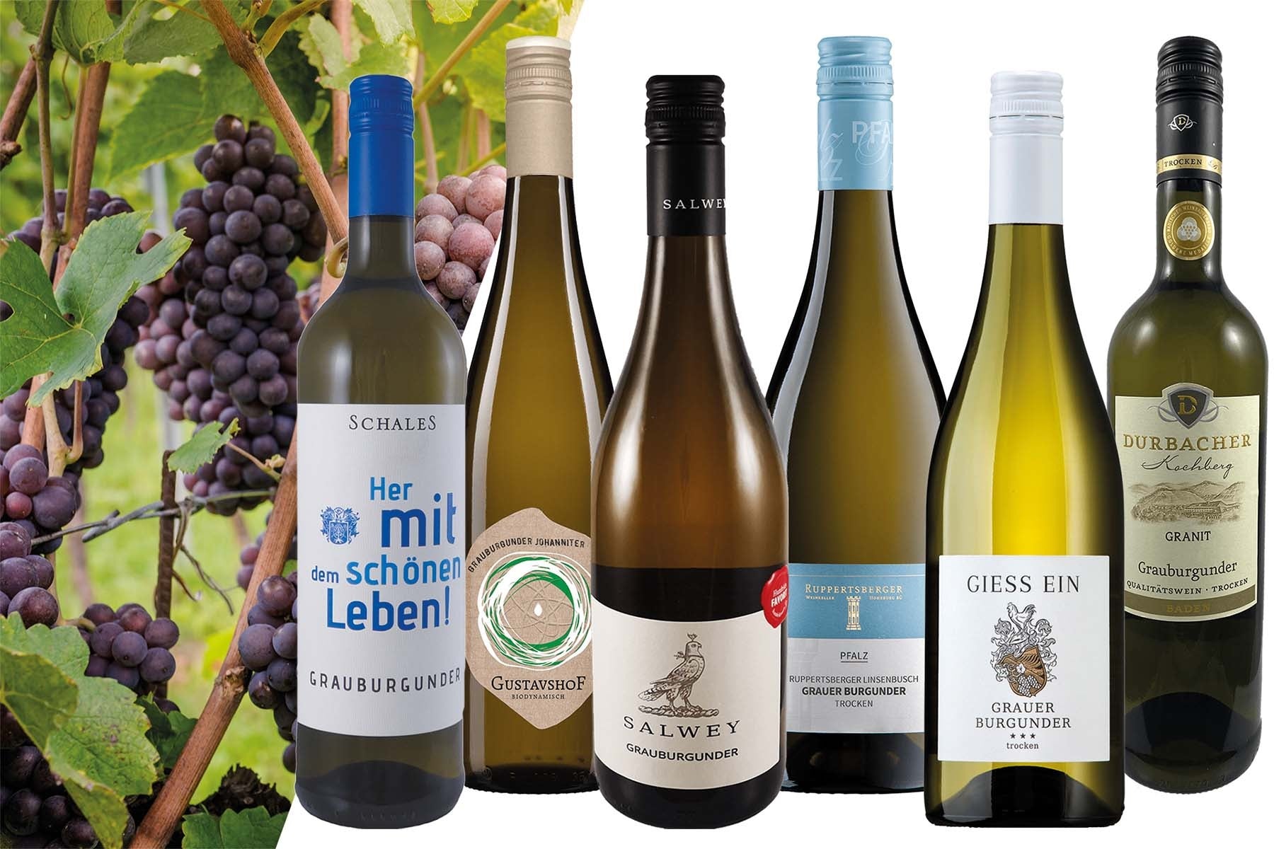 Grauburgunder Masterclass