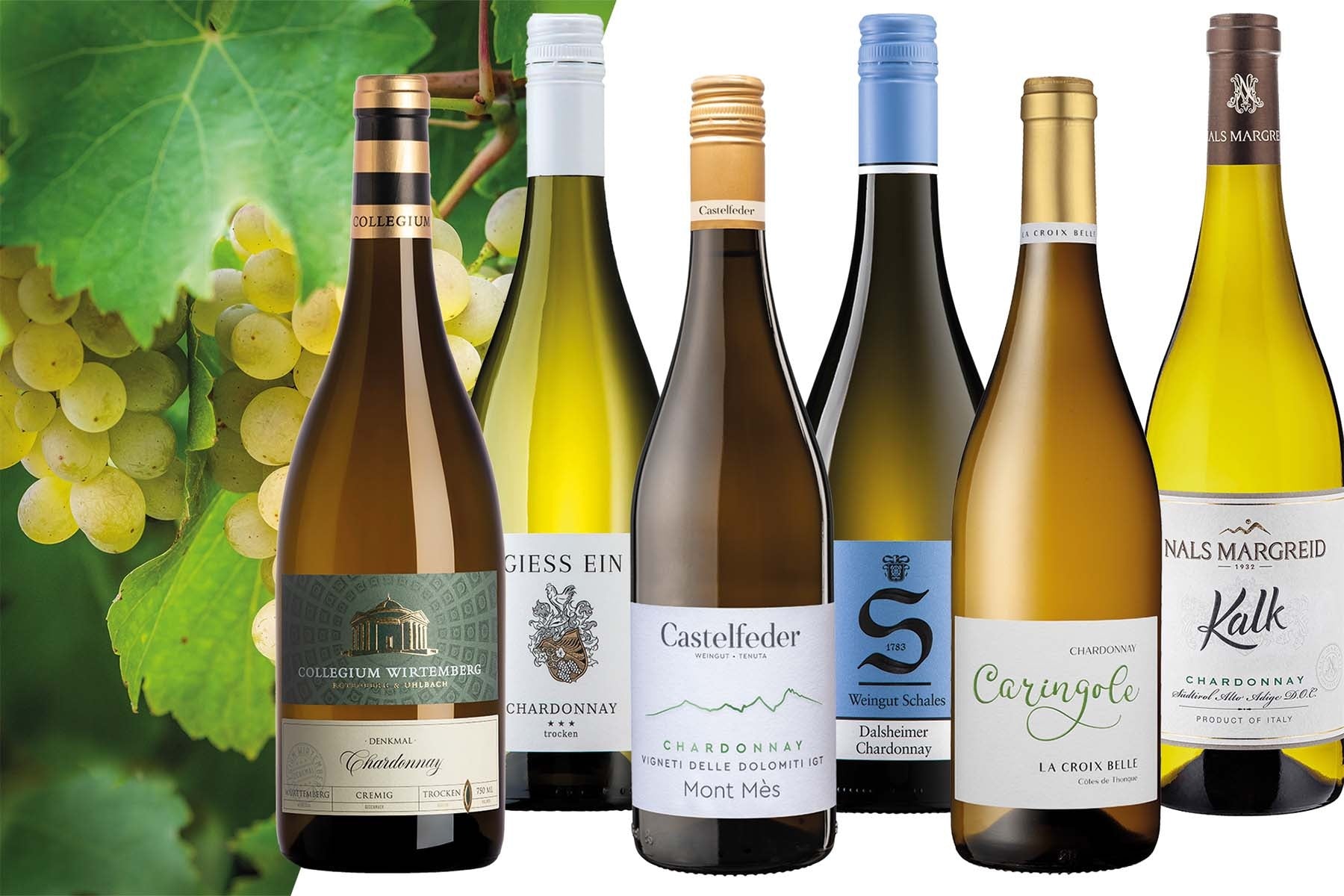 Chardonnay Masterclass