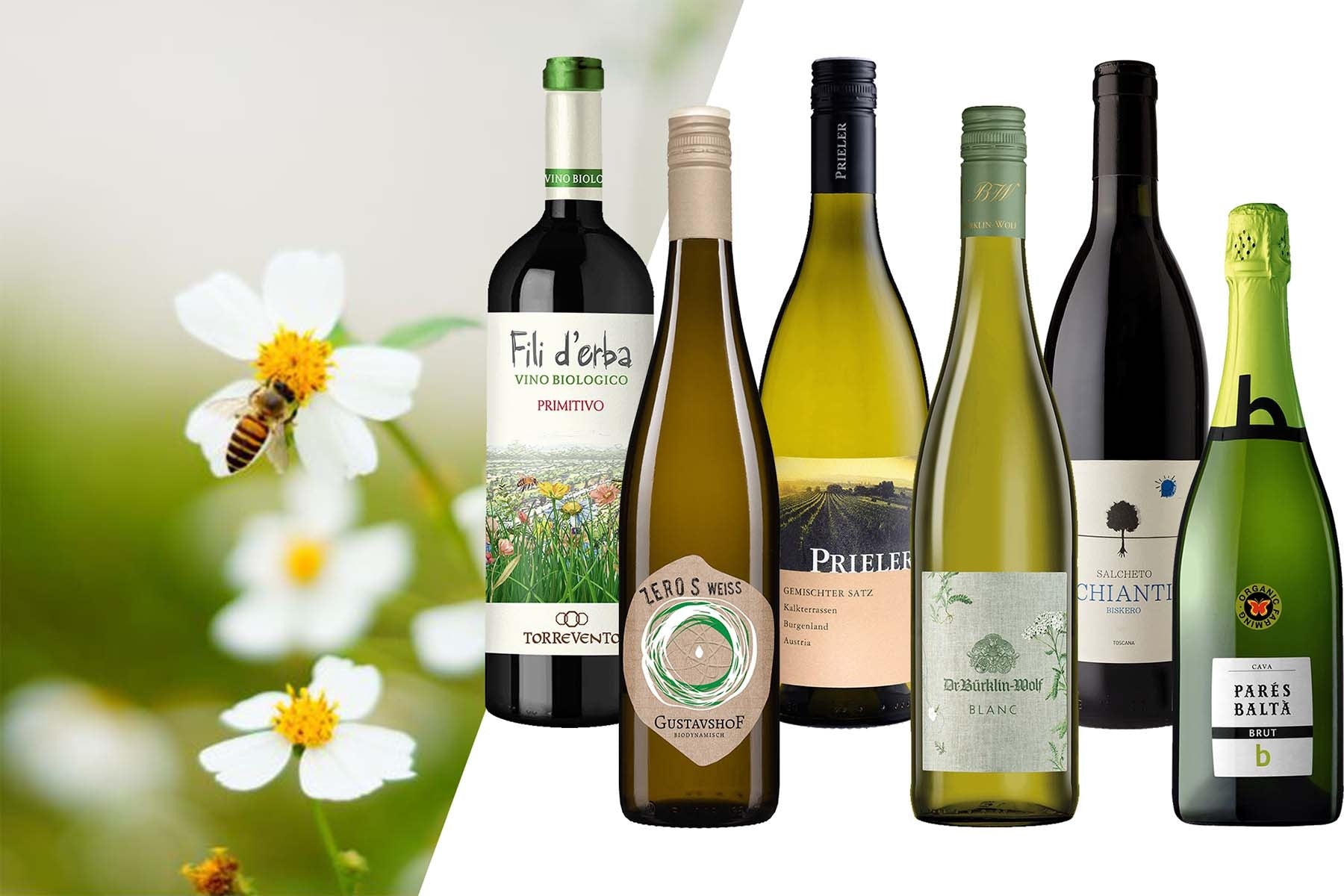 BIO-Weinpaket