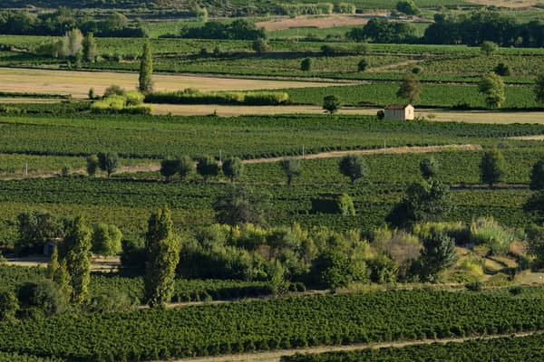 Weingut Domaine La Croix belle Wein Languedoc Winzer Frankreich