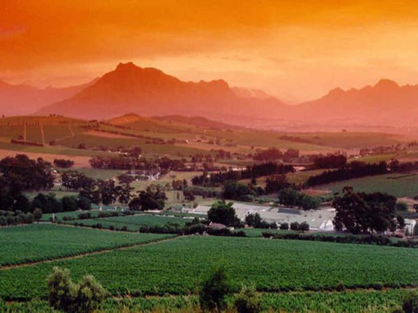 Weingut Middelvlei Estate Wein Stellenbosch Winzer Südafrika
