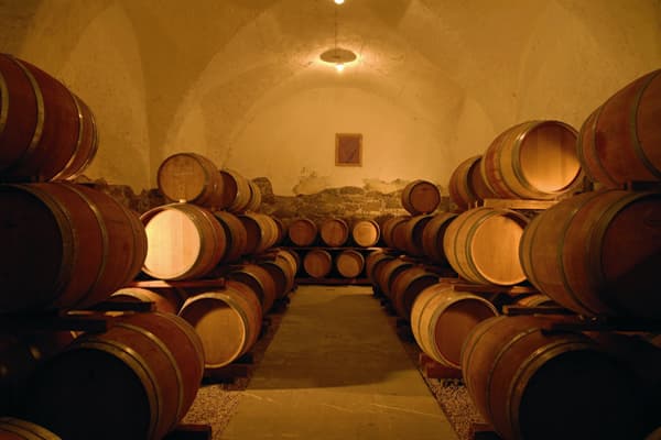 Weingut Nals Margreid Wein Südtirol Winzer Italien