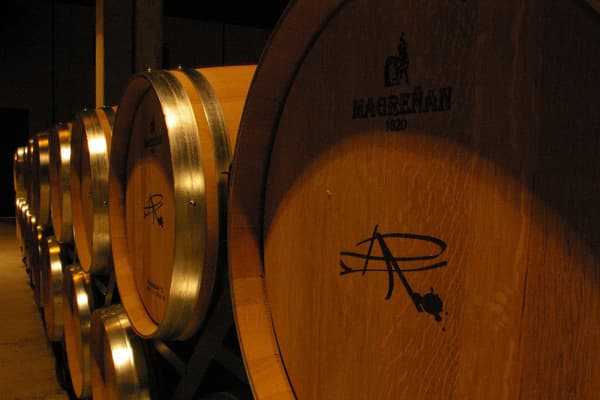 Weingut Pagos de Araiz Wein Navarra Winzer Spanien