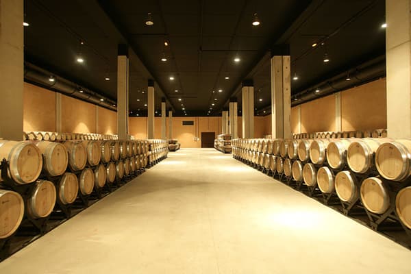 Weingut Pagos de Araiz Wein Navarra Winzer Spanien