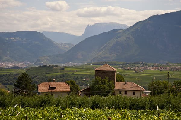 Destillerie Walcher Grappa Südtirol Winzer Italien