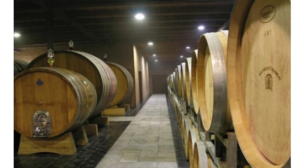 Weingut Michele Chiarlo Wein Piemont Winzer Italien